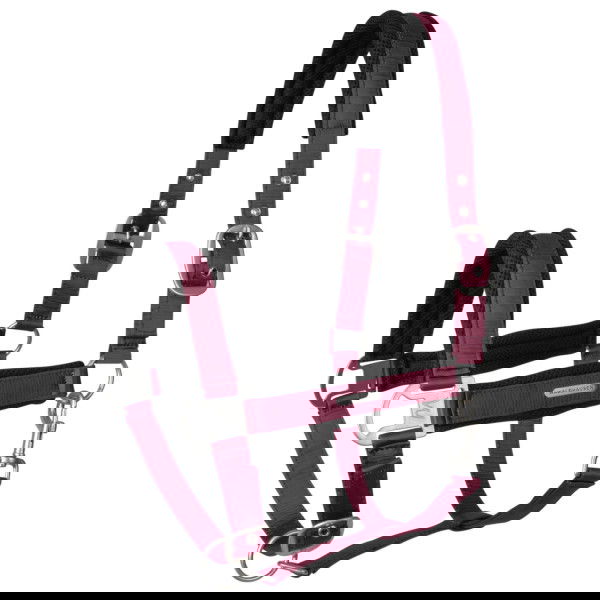 Waldhausen Halfter Breath FS25, Nylonhalfter