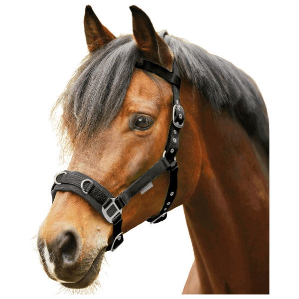 Waldhausen Lunging Halter Economic, Cavesson, Nylon Halter