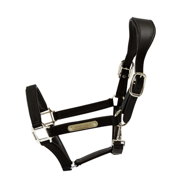 Free Gift Kentucky Horsewear anatomical Nylon Halter (black, Cob) from $349 purchase value