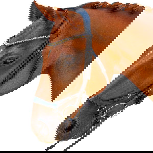 Bridlery Bridle Outline, Swedish Buckle, with Neck Freedom, without Reins