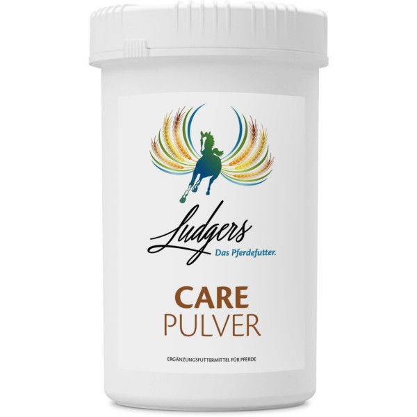 Ludgers Care Powder, for high stress, supports the stomach mucosa