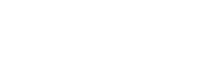 Dyon