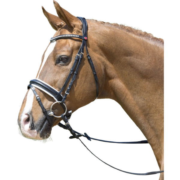 Kieffer Bridle Comfort Lyon, English Combined, with Reins