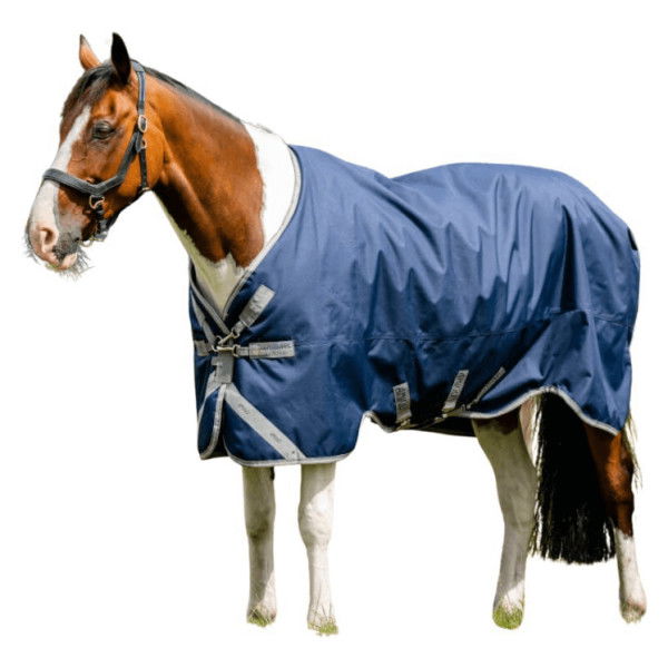 Horseware Outdoor Rug Amigo Bravo 12 XL Turnout Medium, 250 g