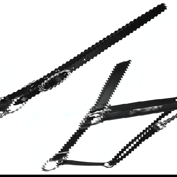 EQUEST Halfter Inscribe, Lederhalfter