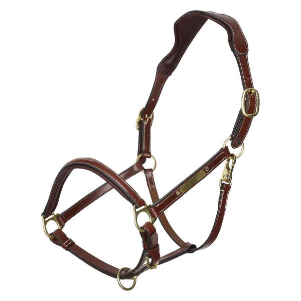 HV Polo Halter HVPLegacy, Leather Halter