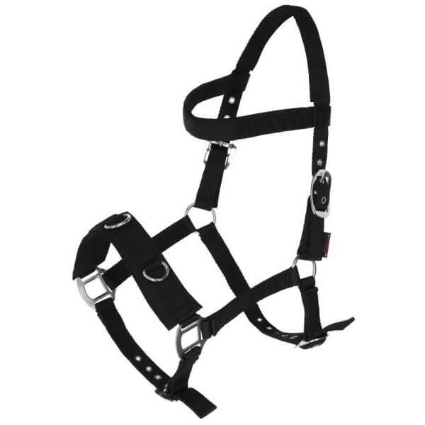 Covalliero Lunging Halter, Cavesson, Nylon Halter