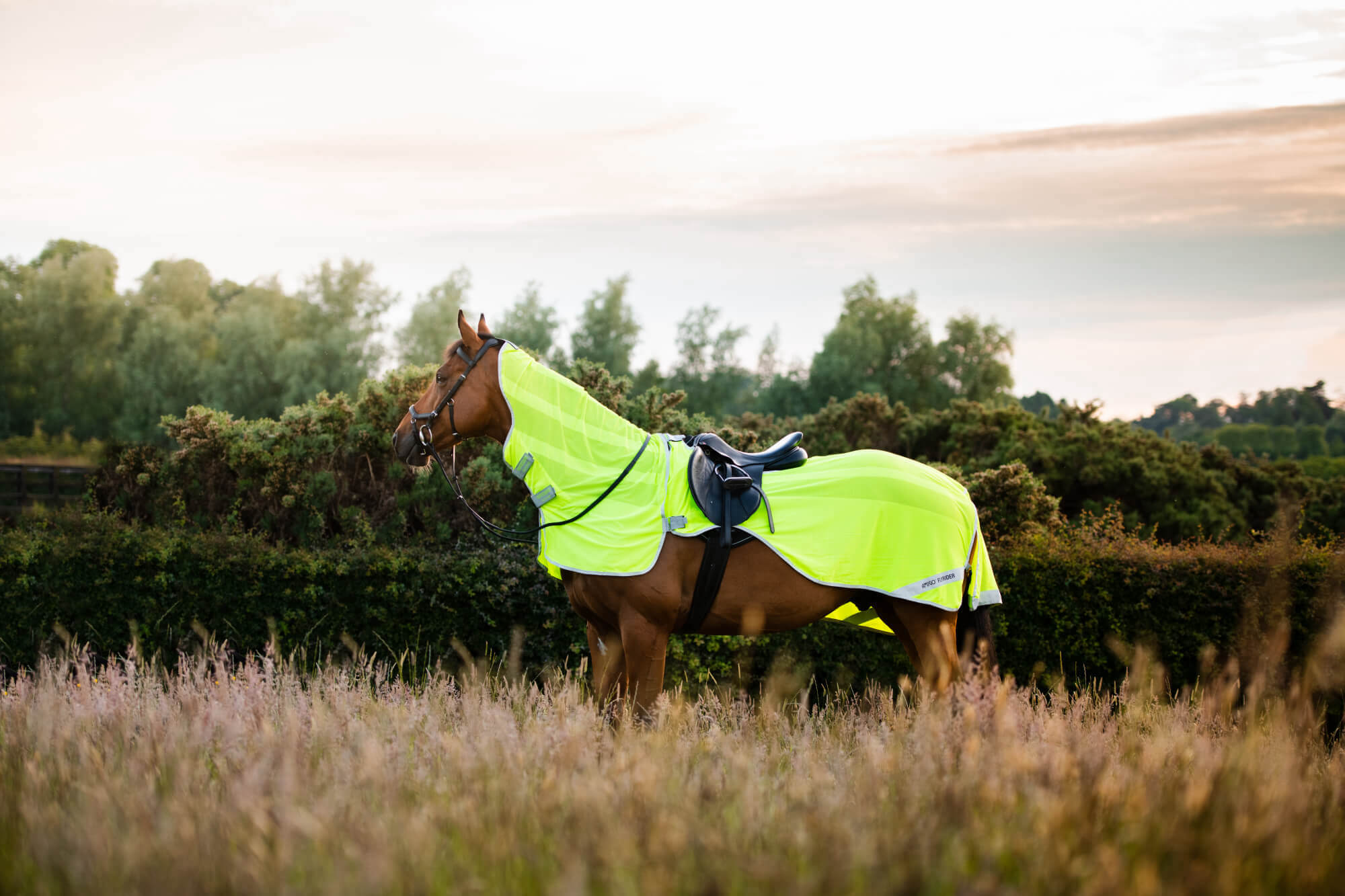 Flyrider Horseware Amigo Ausreitdecke Flyrider HW26 | FUNDIS Reitsport