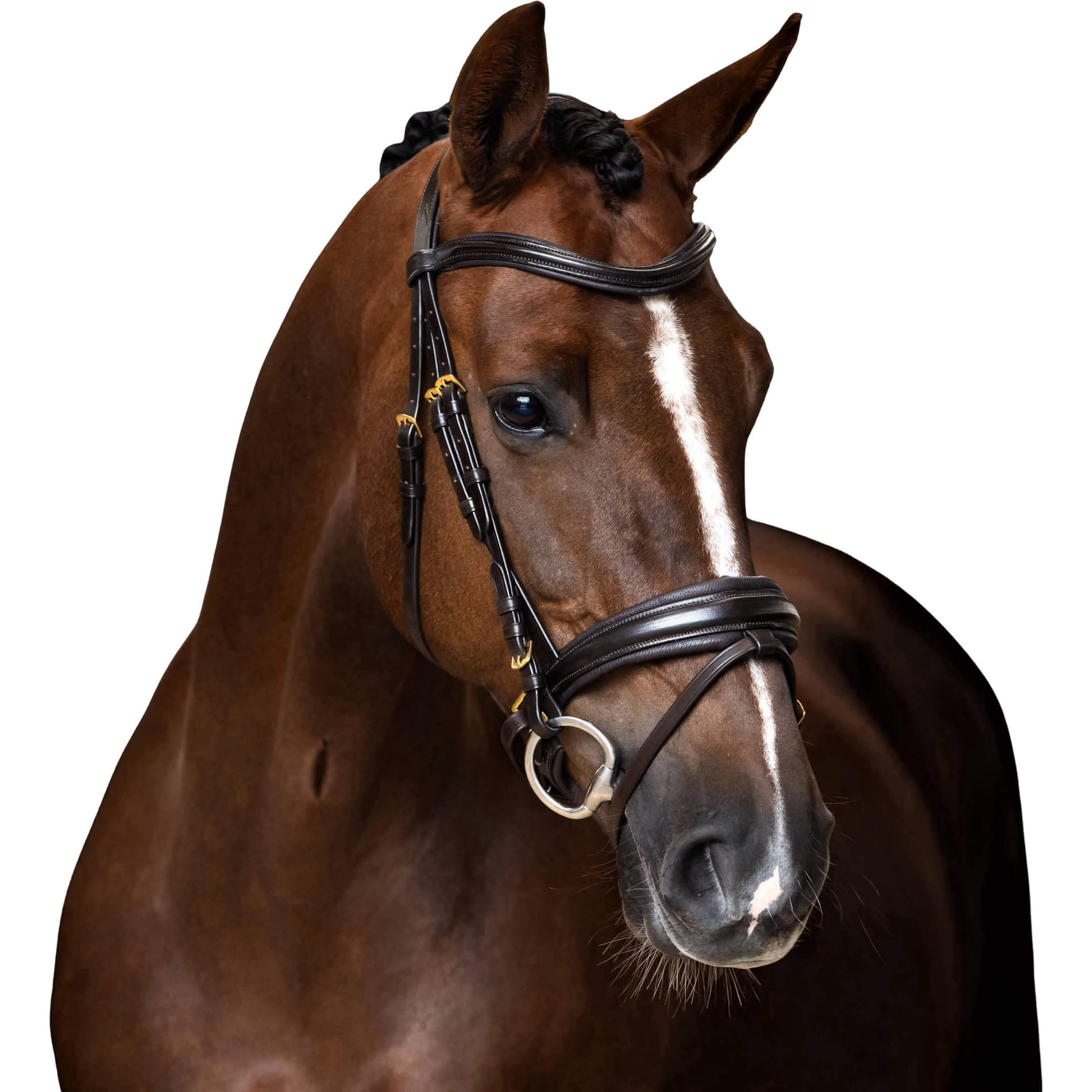 Imperial Riding Trense IRH Sleek, englisch kombiniert, ohne Zügel
