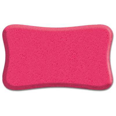 Waldhausen Allzweckschwamm