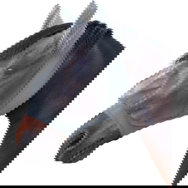 Waldhausen Fliegenmaske Skinny