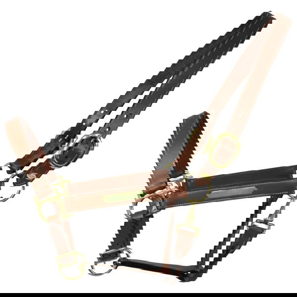 EQUEST Halfter Inscribe, Lederhalfter