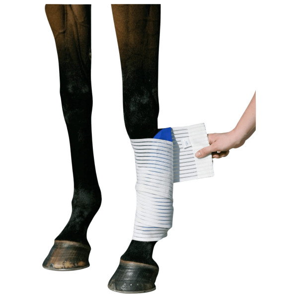 Stübben Kryo Kompakt Horse elastische Bandagen
