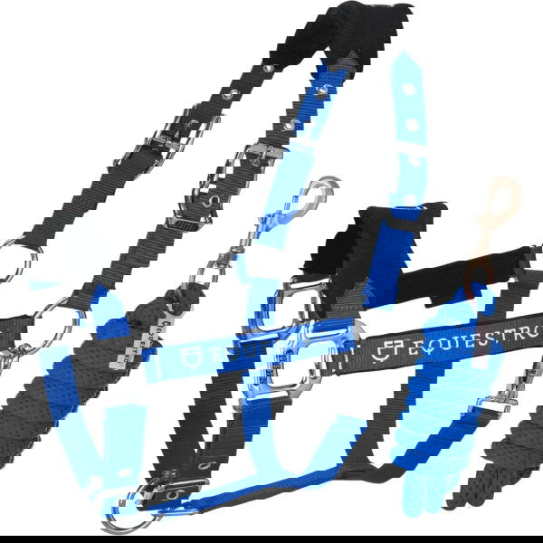 Equestro Halter Set, Nylon Halter, with Fleec, with Lead Rope