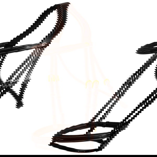 Dyon Bridle Flash DC, English Combined, without Reins