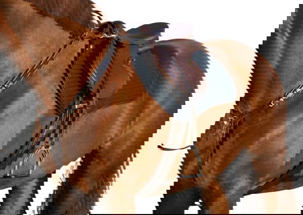 Horseware Vorderzeug Micklem, Martingal, Breastplate, mit abnehmbarem Maria-Hilf-Riemen