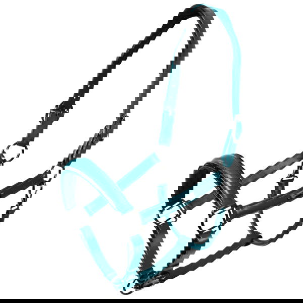 Equestrian Stockholm Halter Glimmer Leather Anatomic Teal Blue, Leather Halter