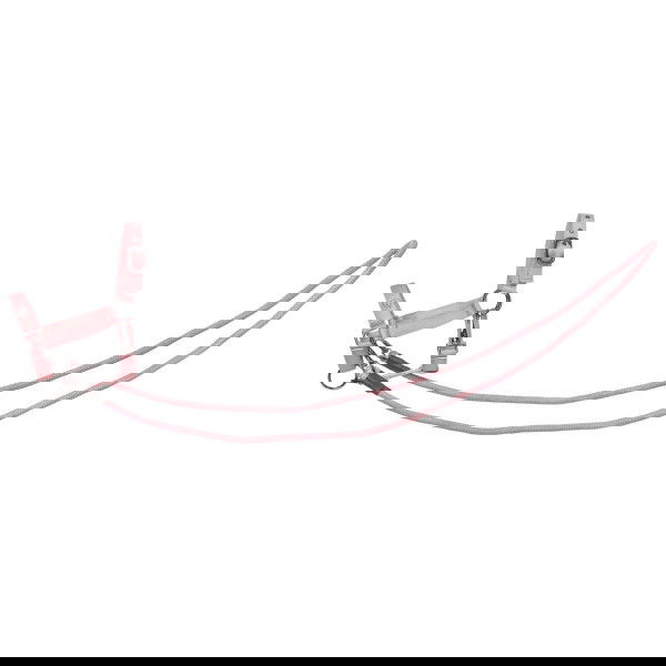 Imperial Riding Hobby Horse Halfter, Hobby Horsing