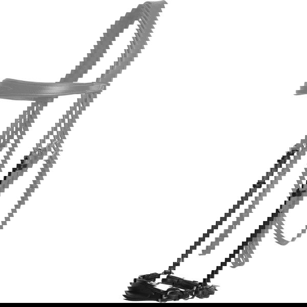 Dyon Interchangeable Noseband NEC, Drop Noseband, with Chin Chain