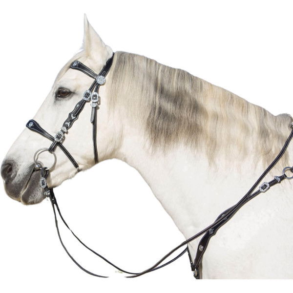 Kieffer Bridle Isabella, Baroque, English, with Reins