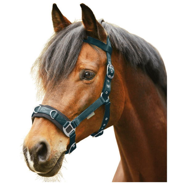 Waldhausen Lunging Halter Economic, Cavesson, Nylon Halter