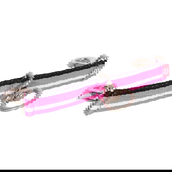 Imperial Riding Longierbrille IRH