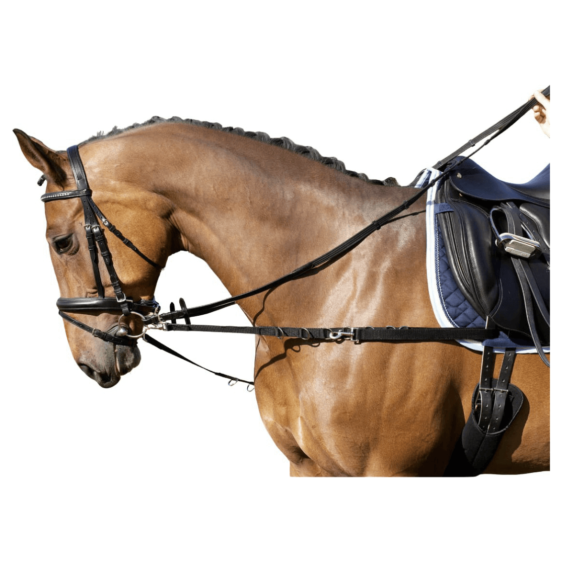 Side Riens USG Side Reins Nylon | FUNDIS Equestrian