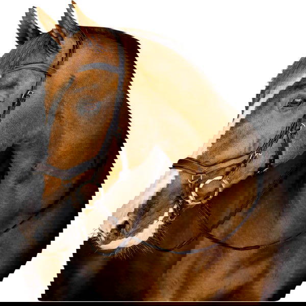Horseware Trense Micklem 3 Competition Bridle, ohne Zügel