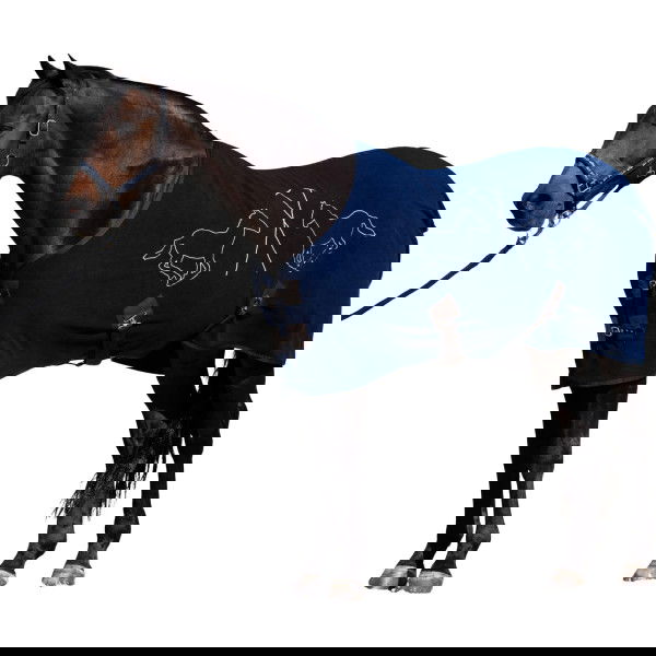 HV Polo Abschwitzdecke HVPBasic HW25, Fleecedecke