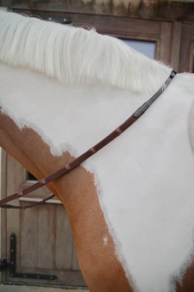 Dyon Reins WC, Rubber Reins, with 7 Bars