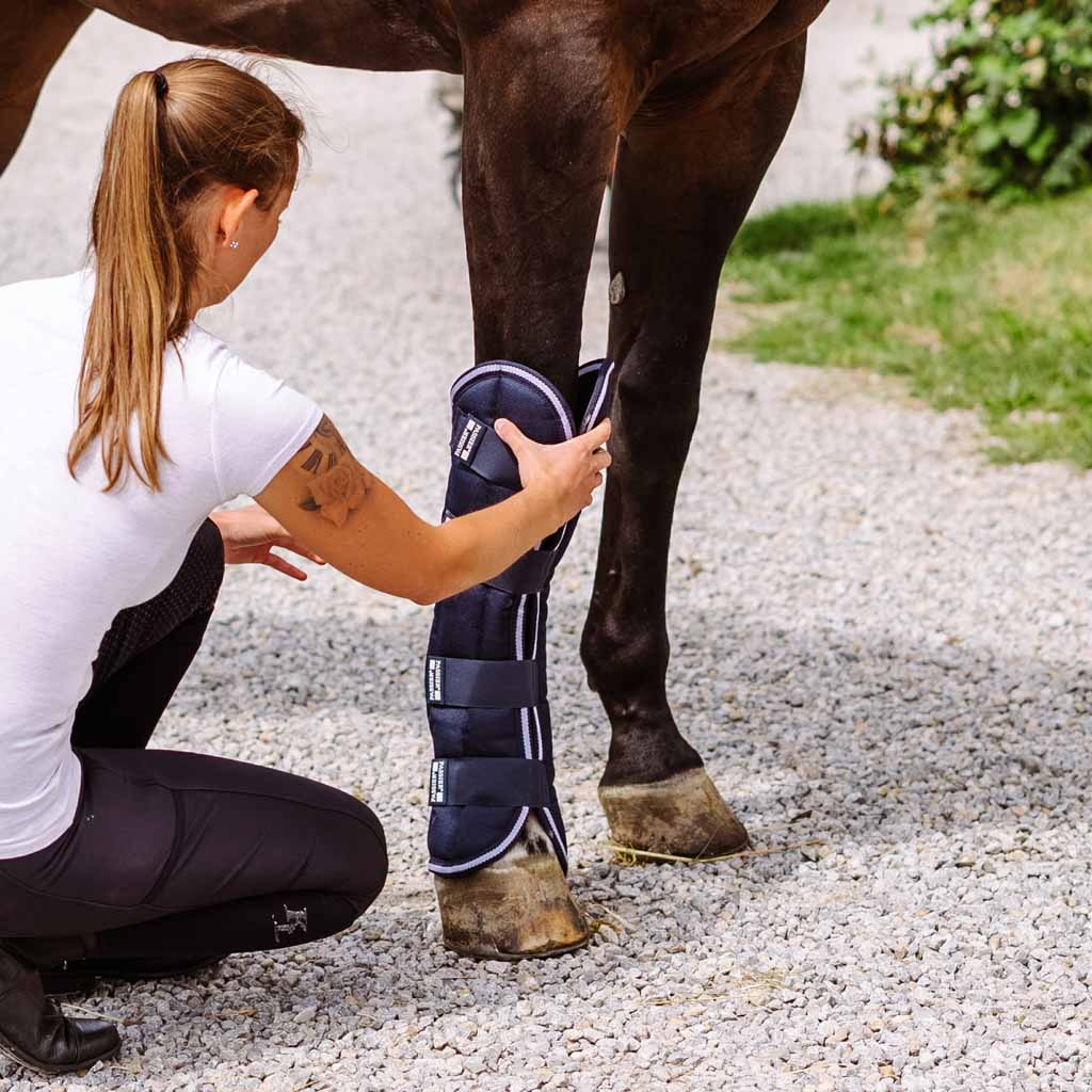 Horse transport boots best sale