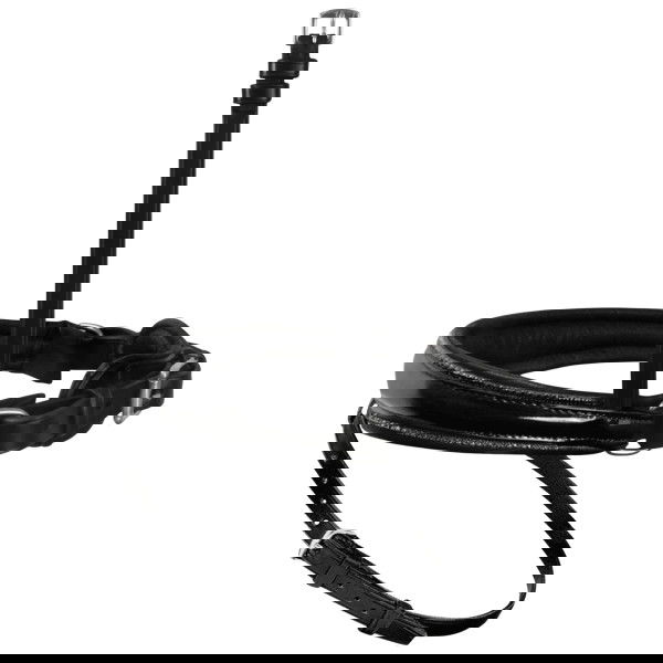 Passier Interchangable Noseband Special, Swedish Combined