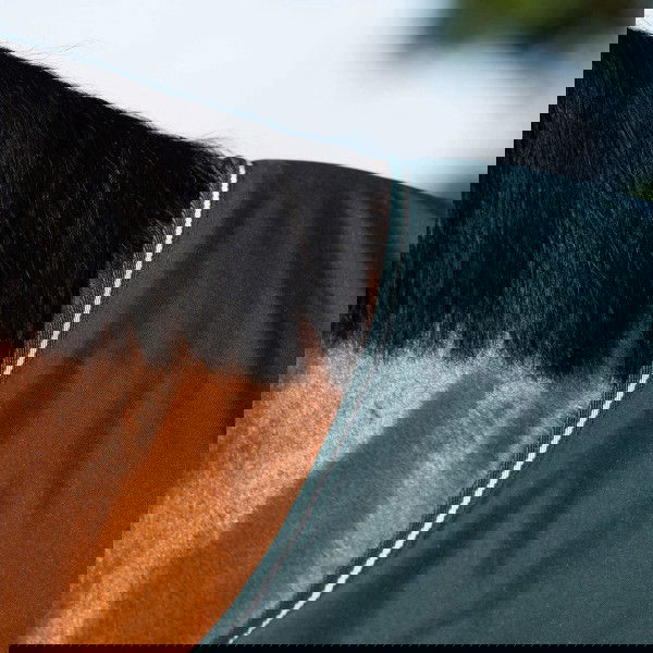 Imperial Riding Outdoordecke IRHBasic, 300 g, Winterdecke