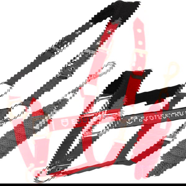 Equestro Halfter Set, Nylonhalfter mit Fleece, mit Führstrick