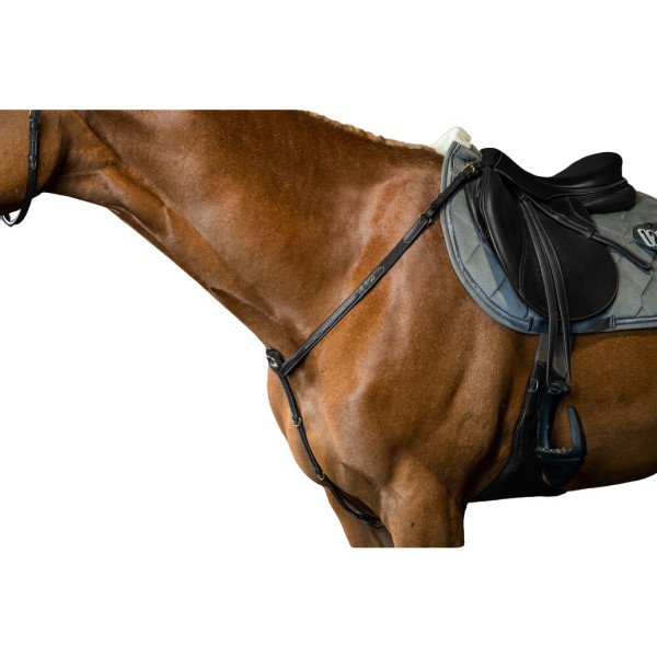 Dyon 3-Point Breastplate DC with Bridge