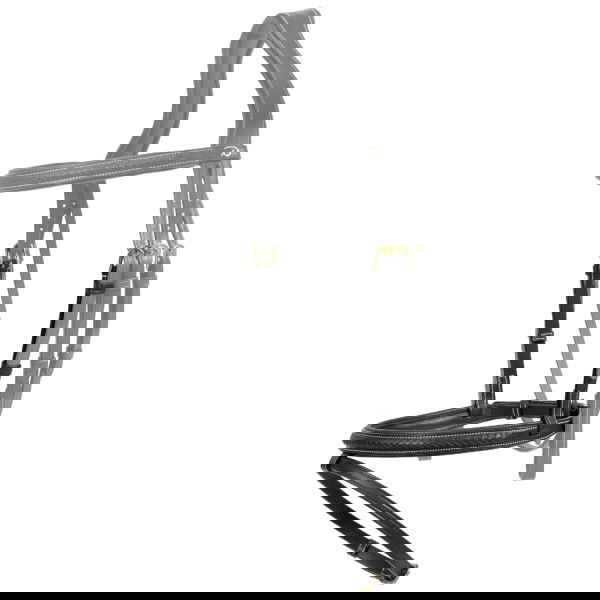 Dyon Noseband Plaited Flash DC, English combined