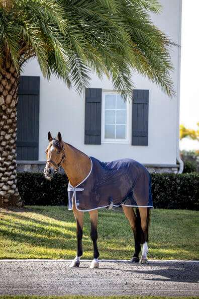 Horseware Amigo Glacière En Jersey Pour Cheval - Neuf Sous Emballage
