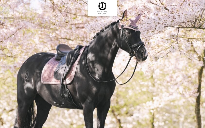 BRAND SALE: IMPERIAL RIDING