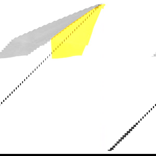 QHP Trainingsstock mit Flagge