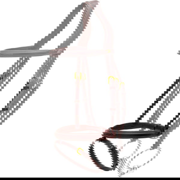 Dyon Wechselnasenriemen Plaited Stiff DC, englisch kombiniert