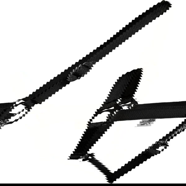EQUEST Halfter Regular Plus, Nylonhalfter