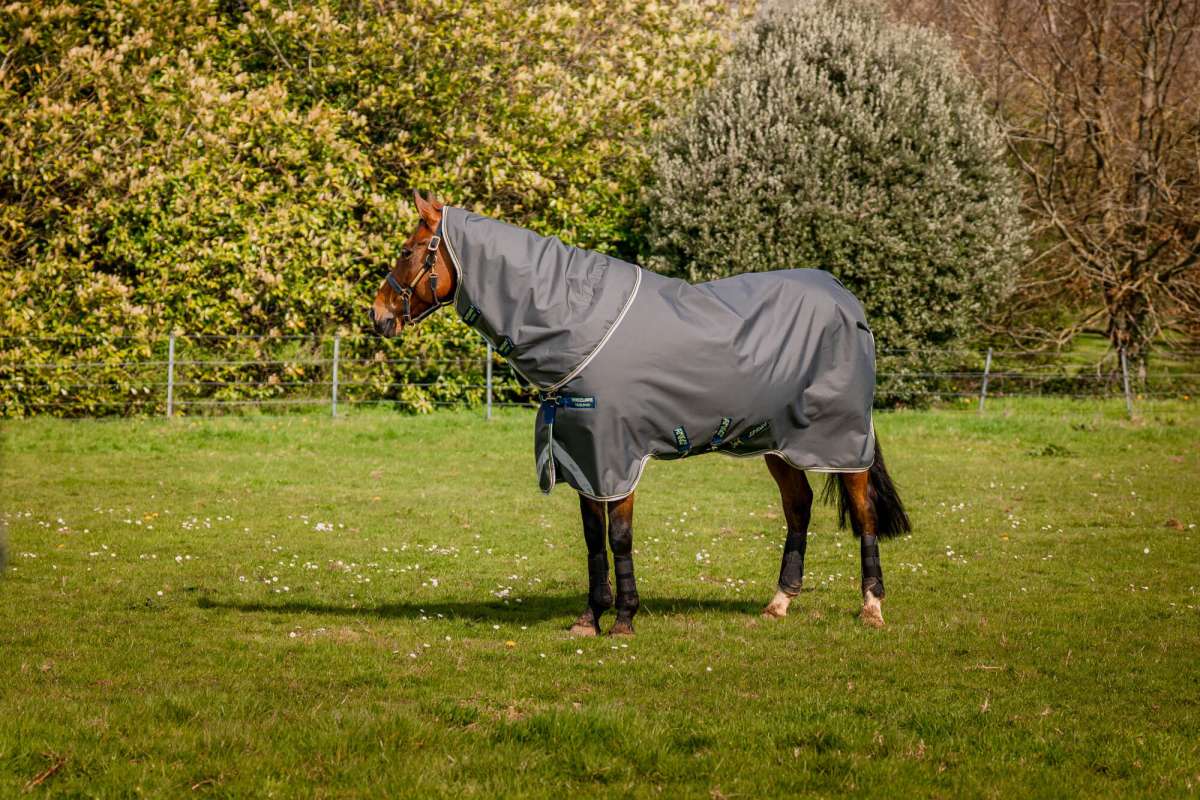 Horseware Ireland, Amigo Bravo Black/Blue 12 Plus Turnout - Wilco Farm