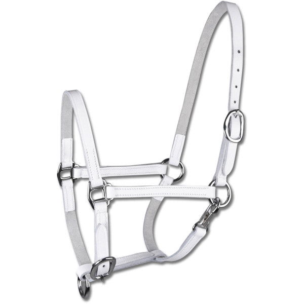 Star Foal Halter, Leather Halter