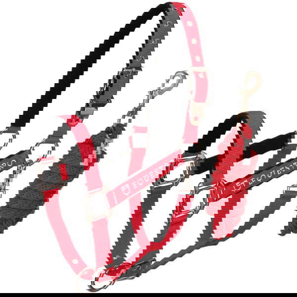 Equestro Halter Set, Nylon Halter, with Lead Rope