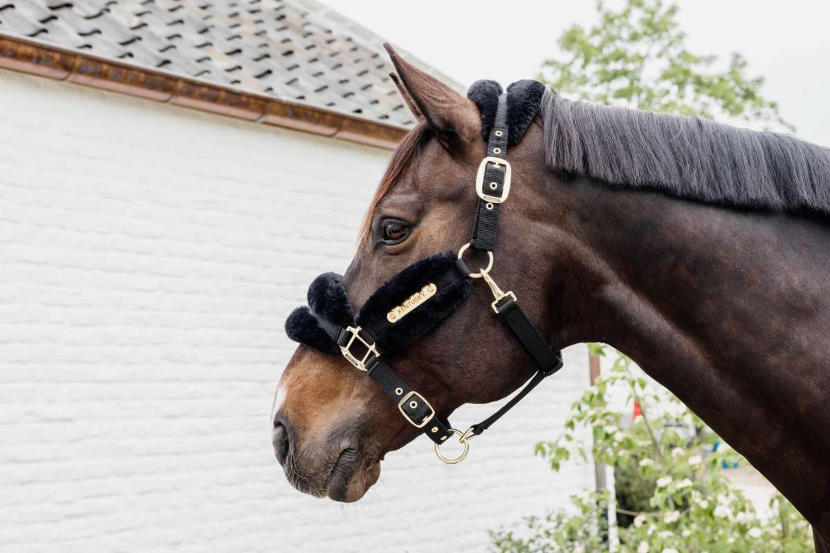 Kentucky Horsewear Nylon Faux Fur Halter | FUNDIS Equestrian