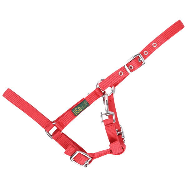 USG Halter, Foal Halter