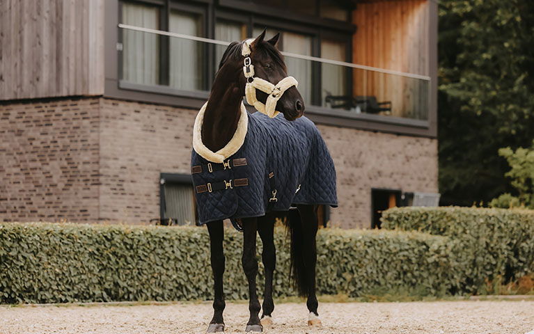 Easy-Up Horse Boot Rack