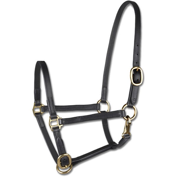 Star Foal Halter, Leather Halter