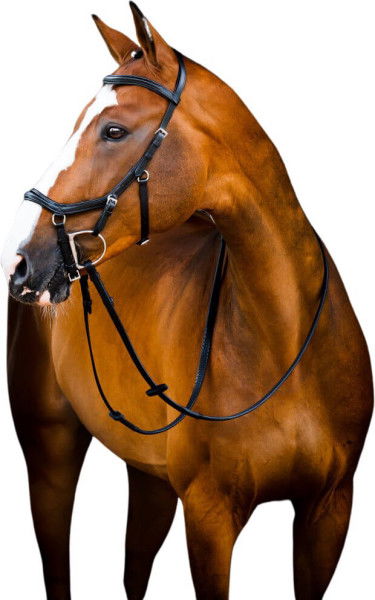 Horseware Bridle Micklem 2 Deluxe Competition, with Reins