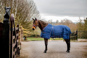 Tapis Stable Horseware Rambo 200 G – Taille 155 Cm, Bleu Marine, Pour Protéger Ton Cheval Au Box !